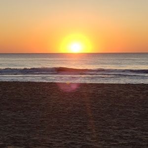 Meet your Posher, Terry